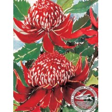 WATERMARK GREETING CARD WARATAH
